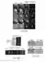 Fig. 19 - Inhibitor-functionalized ultrasmall nanoparticles and methods thereof