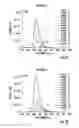Fig. 04 - Imaging compositions
