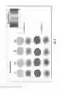 Fig. 05 - Imaging compositions
