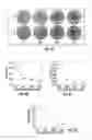 Fig. 06 - Imaging compositions