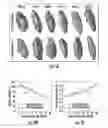 Fig. 12 - Imaging compositions
