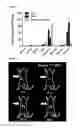 Fig. 07 - FORMULATIONS FOR RADIOTHERAPY AND DIAGNOSTIC IMAGING