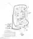 Fig. 01 - Methods for controlling a left ventricular assist device