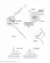 Fig. 04 - TRANSSEPTAL ACCESS DEVICE AND METHOD OF USES