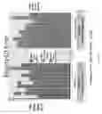 Fig. 15 - RAPID MEDICATION DELIVERY SYSTEM AND METHOD RESISTANT TO OVERDOSING