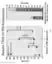 Fig. 20 - RAPID MEDICATION DELIVERY SYSTEM AND METHOD RESISTANT TO OVERDOSING