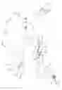 Fig. 11 - Laryngeal mask cuffs