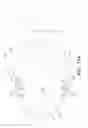 Fig. 16 - Laryngeal mask cuffs