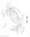 Fig. 17 - Laryngeal mask cuffs