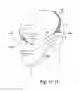 Fig. 53 - DELIVERY OF RESPIRATORY THERAPY