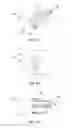 Fig. 07 - Medical needle