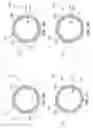 Fig. 05 - CANNULA WITH PEELABLE OUTER LAYER
