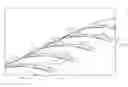 Fig. 01 - Balloon catheter
