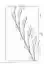 Fig. 06 - Balloon catheter