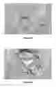 Fig. 03 - COMPOUNDS FOR USE IN METHODS FOR TREATING GLAUCOMA AND RETINAL DISEASES