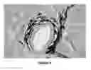 Fig. 04 - COMPOUNDS FOR USE IN METHODS FOR TREATING GLAUCOMA AND RETINAL DISEASES