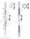 Fig. 09 - PERCUTANEOUS LEAD