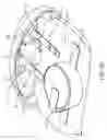 Fig. 09 - NASAL STIMULATION DEVICES AND METHODS FOR TREATING DRY EYE