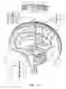 Fig. 04 - Electrical substance clearance from the brain