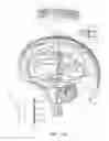 Fig. 06 - Electrical substance clearance from the brain