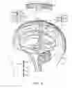 Fig. 08 - Electrical substance clearance from the brain