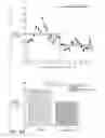 Fig. 11 - Electrical substance clearance from the brain