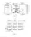 Fig. 03 - Multi-modal synchronization therapy