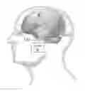 Fig. 01 - Method and apparatus for improving cognitive performance through cortical stimulation