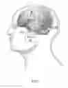 Fig. 02 - Method and apparatus for improving cognitive performance through cortical stimulation