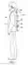 Fig. 03 - Back support frame