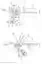 Fig. 04 - Vertical fall arrest safety device