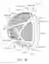 Fig. 11 - GOLF CLUB HEAD