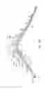 Fig. 17 - Three-Dimensional Molded Runner For Lacrosse Stick