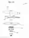 Fig. 12 - Exercise device