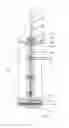 Fig. 01 - Punching bag with spine for suspension