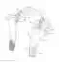 Fig. 01 - HEAD AND NECK RESTRAINT DEVICE WITH DYNAMIC ARTICULATION