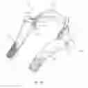Fig. 34 - HEAD AND NECK RESTRAINT DEVICE WITH DYNAMIC ARTICULATION