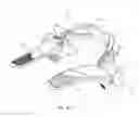 Fig. 36 - HEAD AND NECK RESTRAINT DEVICE WITH DYNAMIC ARTICULATION