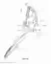 Fig. 37 - HEAD AND NECK RESTRAINT DEVICE WITH DYNAMIC ARTICULATION