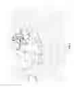 Fig. 07 - Runtime animation substitution