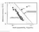Fig. 01 - Semipermeable membrane and preparation method thereof