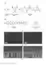 Fig. 04 - Semipermeable membrane and preparation method thereof