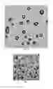 Fig. 05 - Semipermeable membrane and preparation method thereof