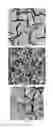 Fig. 06 - Semipermeable membrane and preparation method thereof
