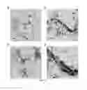 Fig. 11 - Semipermeable membrane and preparation method thereof