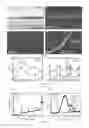 Fig. 13 - Semipermeable membrane and preparation method thereof