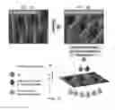 Fig. 02 - One-step scalable fabrication of mechanically robust visible-light responsive oxide-modified metallic multifunctional membranes