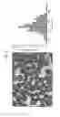 Fig. 08 - Method and apparatus for generating bubbles