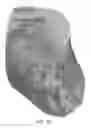 Fig. 11 - Ingredient mixing apparatus having air augmentation