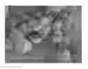 Fig. 01 - Ligand-exchanged zeolite imidazolate frameworks